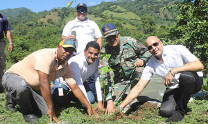 La Superintendencia de Vigilancia y Seguridad Privada realiza "Jornada de Reforestación" en Bonao