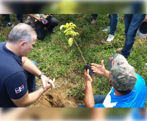La Superintendencia de Vigilancia y Seguridad Privada Realiza Jornada de Reforestación.
